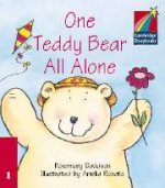C Storybooks 1 One Teddy Bear All Alone