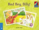C Storybooks 2 Bad Boy, Billy!