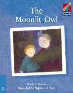 C Storybooks 2 Moonlit Owl