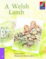 C Storybooks 4 Welsh Lamb
