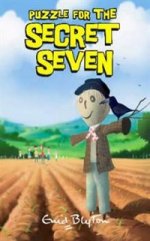 Secret Seven 10: Puzzle for Secret Seven