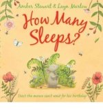 How Many Sleeps : Picture Book