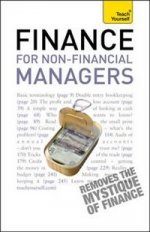 Finance for Non Financial Managers: Teach Yourself   5Ed