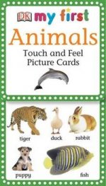 Animals - Touch & Feel Picture Cards