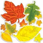 Accent Punch-Outs Autumn Leaves (60 pieces)