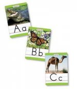 Animals From A to Z Alphabet Set  (26 cards)