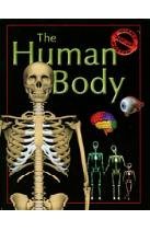 Human Body: Giant Pop-Up Poster