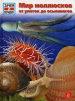 Зачем и почему. Мир моллюсков - от улиток до осьминогов
