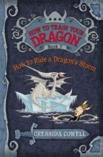 How to Train Your Dragon: How to Ride a Dragons Storm