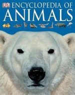 DK Encyclopedia of Animals  (PB)