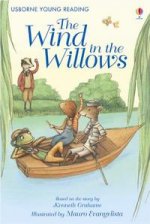 Wind in the Willows  HB