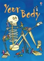 Your Body    HB