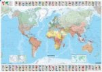 The World (laminated) Карта мира в ламинации