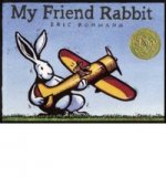 My Friend Rabbit  (PB) illustr