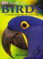 Guide to Birds Hb