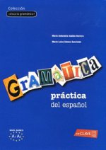 Grammatica Practica del Espanol Viva La Gramatica! Nivel Basico