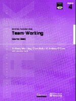 TASK: University Foundation Study Mod.4: Team-Working