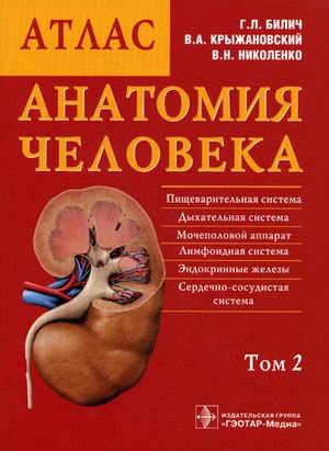 Анатомия человека. Атлас. В 3-х томах. Том 2