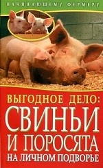 Выгодное дело: свиньи и поросята на личном подворье