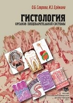 Гистология органов пищеварительной системы. Учебное пособие для студентов, обучающихся по специальности " Стоматология"
