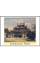 Linnaeus Tripe: India & Burma (box of 20 notecards)