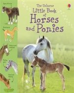 Little Book of Horses and Ponies (HB) ***