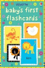 Babys First Flashcards ***