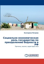 Социально-экономическая роль государства по преодолению бедности в РФ