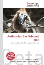 Antioquian Sac-Winged Bat