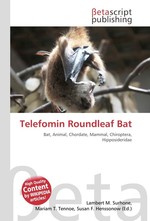 Telefomin Roundleaf Bat