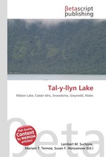 Tal-y-llyn Lake