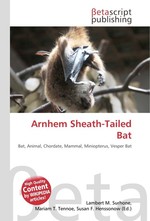 Arnhem Sheath-Tailed Bat