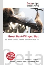 Great Bent-Winged Bat