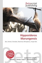 Hipposideros Marungensis
