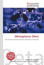 Miniopterus Gleni