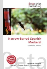Narrow-Barred Spanish Mackerel