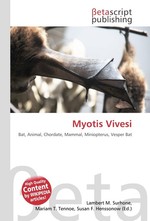 Myotis Vivesi