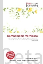 Damnamenia Vernicosa