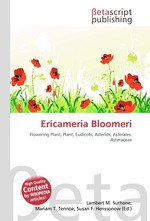 Ericameria Bloomeri