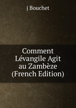 Comment Lvangile Agit au Zambze (French Edition)