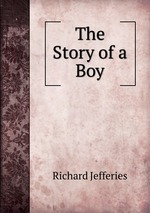 The Story of a Boy