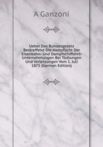 Ueber Das Bundesgesetz Bestreffend Die Hastpflicht Der Eisenbahn- Und Dampfschiffahrt-Unternehmungen Bei Tdtungen Und Verletzungen Vom 1. Juli 1875 (German Edition)