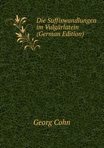 Die Suffixwandlungen im Vulgrlatein (German Edition)