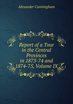 Report of a Tour in the Central Provinces in 1873-74 and 1874-75, Volume IX
