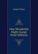 One Wonderful Night (Large Print Edition)