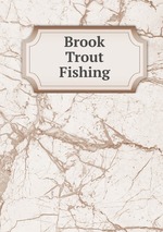 Brook Trout Fishing