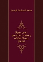 Pete, cow-puncher: a story of the Texas plains
