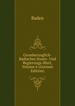 Grossherzoglich-Badisches Staats- Und Regierungs-Blatt, Volume 6 (German Edition)