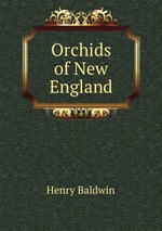Orchids of New England