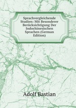 Sprachvergleichende Studien: Mit Besonderer Bercksichtigung Der Indochinesischen Sprachen (German Edition)